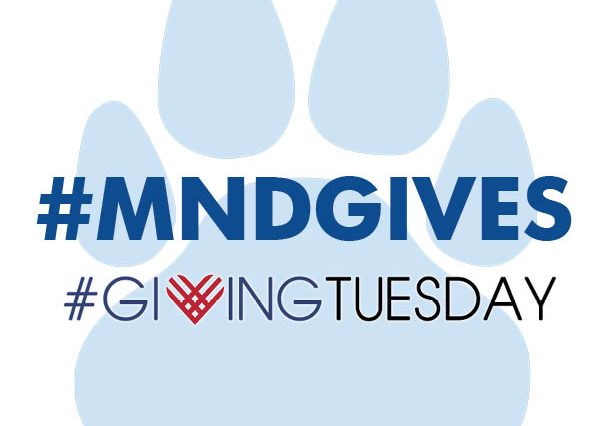 Giving Tuesday Logo