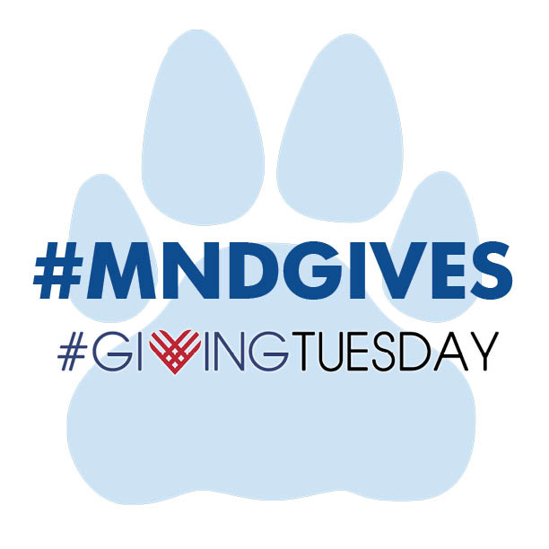 Remember Mnd On Giving Tuesday Mount Notre Dame High School