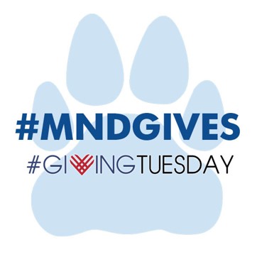 Giving Tuesday Logo