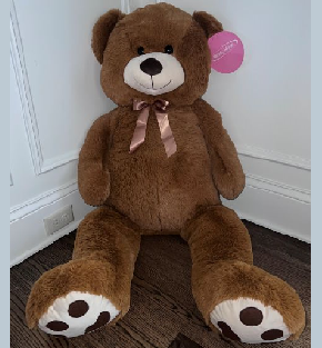 rafflepic-teddybear-290x313